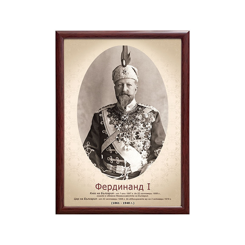 Портрет на цар Фердинанд I