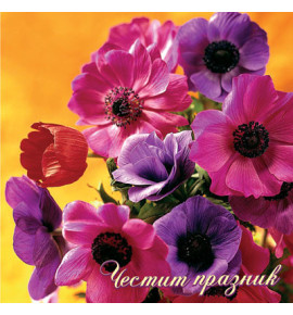 Поздравителна картичка КС06