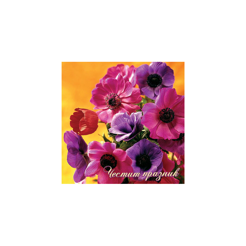 Поздравителна картичка КС06