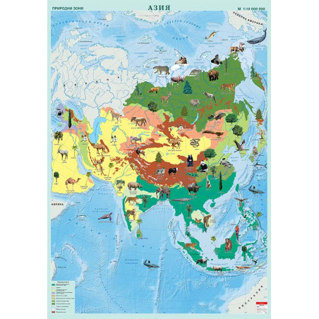 Азия. Природни зони, стенна карта