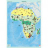 Африка. Природни зони, стенна карта