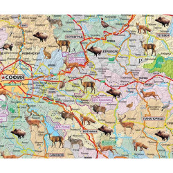 България. Ловна карта